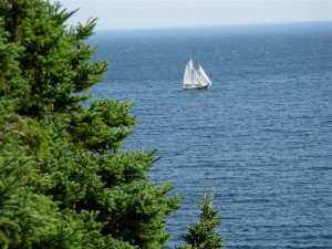 Also not one shown in the show, but still beautiful