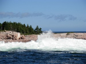 So this isn't one of the pictures that he displayed, but it gives you an idea