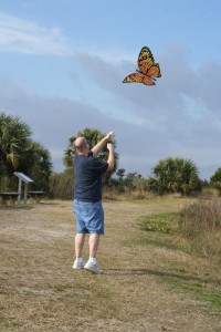 Flight of the monarch