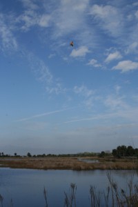 High over the waters