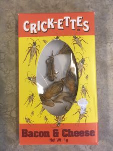 I wonder if plain crickets are Whole30 approved?